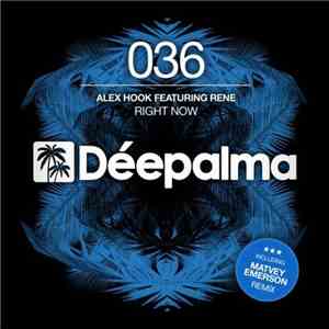Alex Hook Featuring Rene  - Right Now FLAC