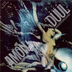 Amon Düül - Psychedelic Underground FLAC