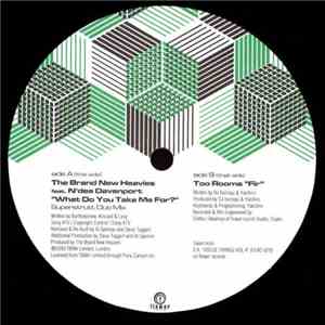 The Brand New Heavies / Too Rooms - What Do You Take Me For? / FIR FLAC