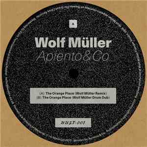 Apiento & Co - The Orange Place (Wolf Müller Remixes) FLAC