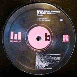 DJ Brizi & Selma Hernandes vs. R.E.light Orchestra - Remedios FLAC