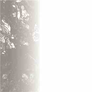 This Day Forward - Fragments Of An Untold Story Born By Shunning The Opportunity FLAC