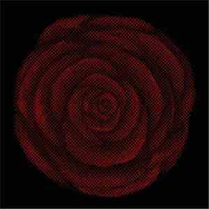 Young Widows - Future Heart FLAC
