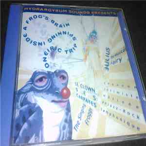 Christophe Morin , Julio Holgado - Oneiric Trip Inside Around A Frog´s Brain FLAC