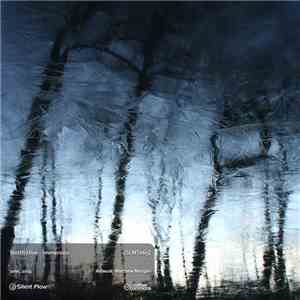 North Hive - Immersion FLAC