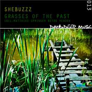 Shebuzzz - Grasses Of The Past FLAC