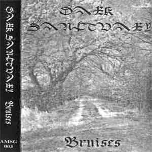 Dark Sanctuary - Bruises FLAC