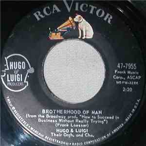 Hugo & Luigi Their Orchestra And Chorus - Brotherhood Of Man / Love From A Heart Of Gold FLAC
