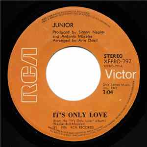 Junior - It's Only Love FLAC