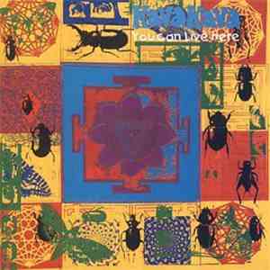 Kava Kava - You Can Live Here FLAC