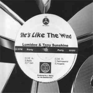 Lumidee & Tony Sunshine - She's Like The Wind FLAC
