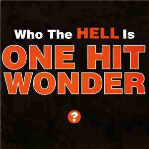 One Hit Wonder  - Who The Hell Is? FLAC