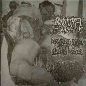 Punctured Esophagus / Perforated Bowel Syndrome With Oozing Faeces / Genital Herpes - 3 Way Split CD-R 2016 FLAC