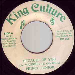 Prince Junior  - Because Of You FLAC