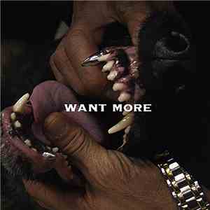 Shygirl - Want More FLAC