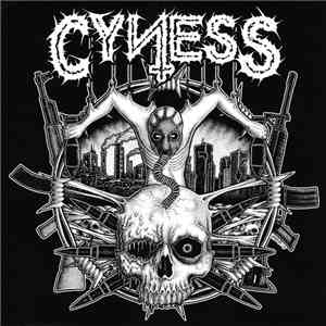 Cyness / P.L.F. - Cyness / P.L.F. FLAC