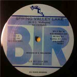 Ken Boothe / Nicodemus - I Will / Spring Valley Lake FLAC