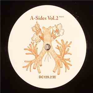 Nicole Moudaber / Trikk - A-Sides Vol.2 Part 2 FLAC
