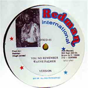 Wayne Palmer  - You No Remember FLAC