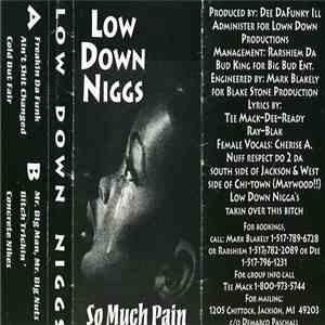 Low Down Niggs - So Much Pain FLAC