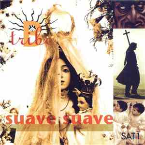 B-Tribe - Suave Suave FLAC