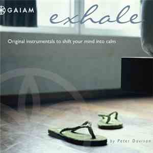 Peter Davison - Exhale FLAC