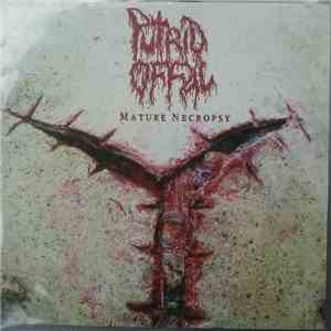 Putrid Offal - Mature Necropsy FLAC