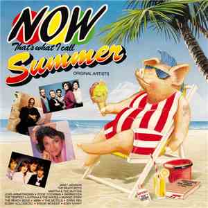Various - Now That's What I Call Summer FLAC