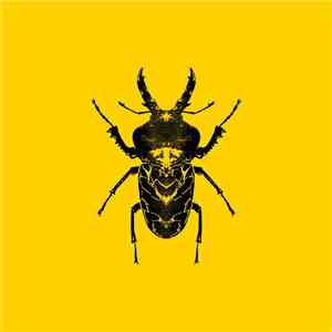 Golden Features - SECT FLAC