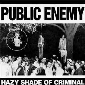 Public Enemy - Hazy Shade Of Criminal FLAC
