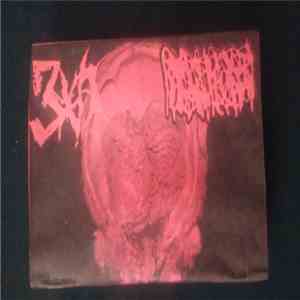 3XA / Hydrocephalus - 3XA/HYDROCEPHALUS Split tape FLAC