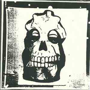Decaer Pinga - The Amplified Brick FLAC