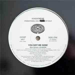 II D Extreme - You Got Me Goin' FLAC