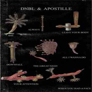 Apostille // Dnbl - split FLAC