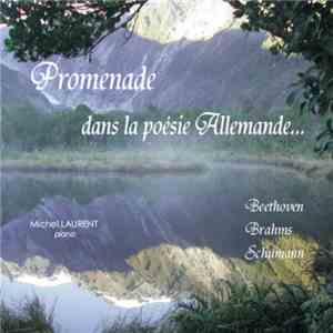 Beethoven, Brahms, Schumann, Michel Laurent (Belgium) - Promenade Dans La Poésie Allemande FLAC