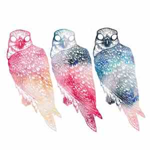 Flyying Colours - Mindfullness FLAC