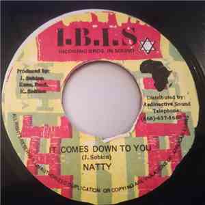 Natty  - It Comes Down To You FLAC