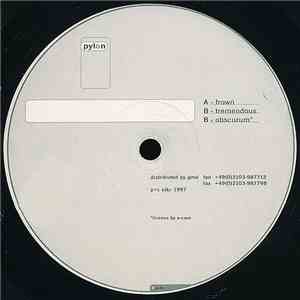Pylon - Untitled FLAC
