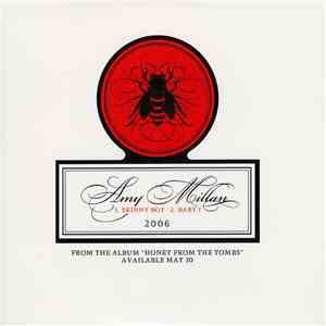 Amy Millan - Skinny Boy FLAC