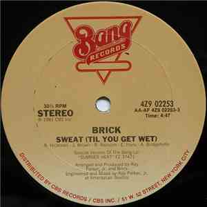 Brick - Sweat (Til You Get Wet) FLAC