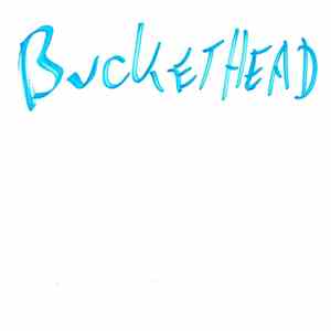 Bucketheadland - Assignment 033-03 FLAC