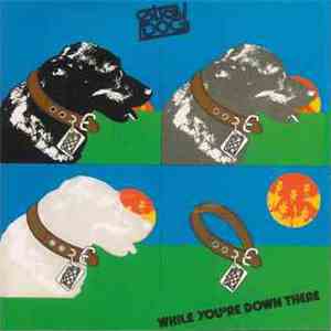 Stray Dog  - While You're Down There FLAC