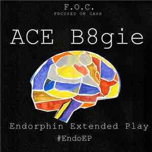 Ace B8gie - Endorphin Extended Play FLAC