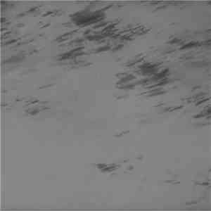 Chlorine Gargle - Object Of Servility FLAC