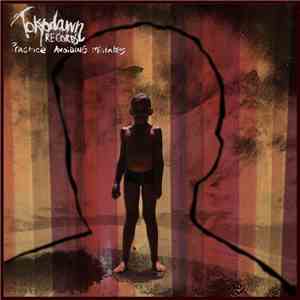 Various - Practice Avoiding Mistakes FLAC