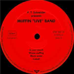 Frank Zappa With Captain Beefheart - Violant Rapture FLAC