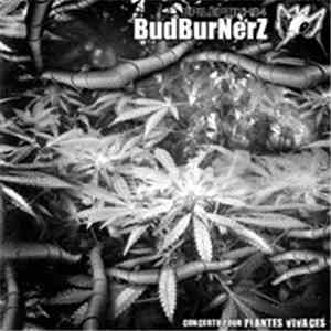 BudBurnerz - Concerto Pour Plantes Vivaces FLAC