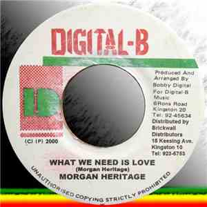 Morgan Heritage - What We Need Is Love FLAC