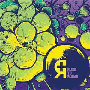 Rosetta  - Flies To Flame FLAC