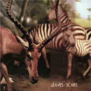 Beware Of Safety - Leaves/Scars FLAC